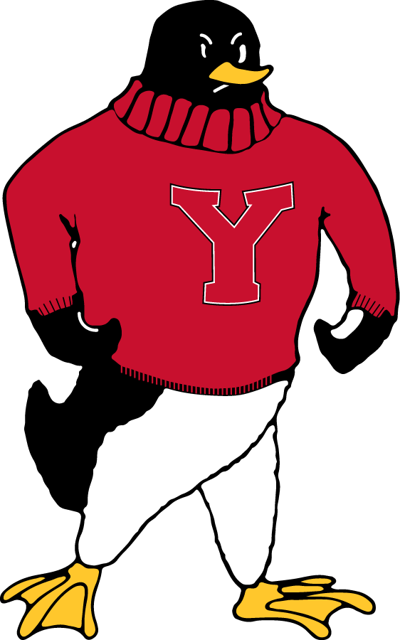 Youngstown State Penguins 1969-1979 Primary Logo diy iron on heat transfer